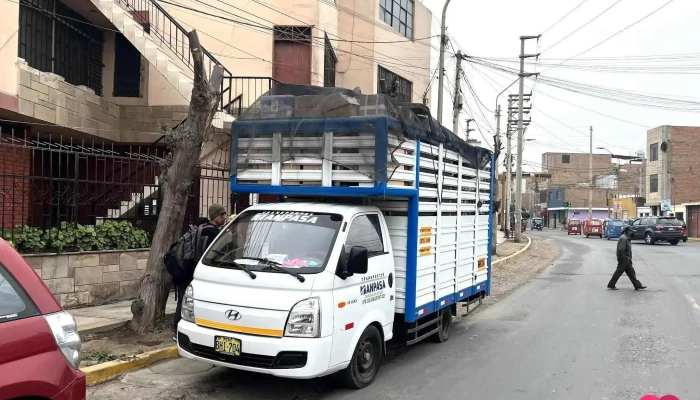 Transportes Manpasa E.i.r.l. - 51