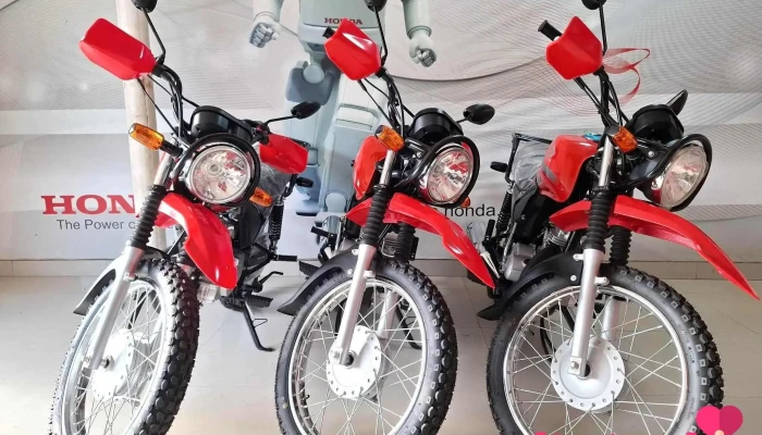 Ucayali Motors - Perú