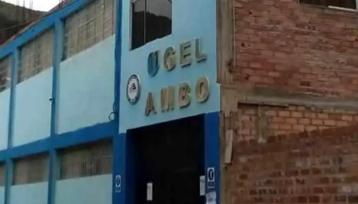 Ugel Ambo - 3n 100