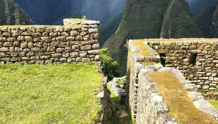 Vanessa Viajes Y Servicios - Cusco 08001