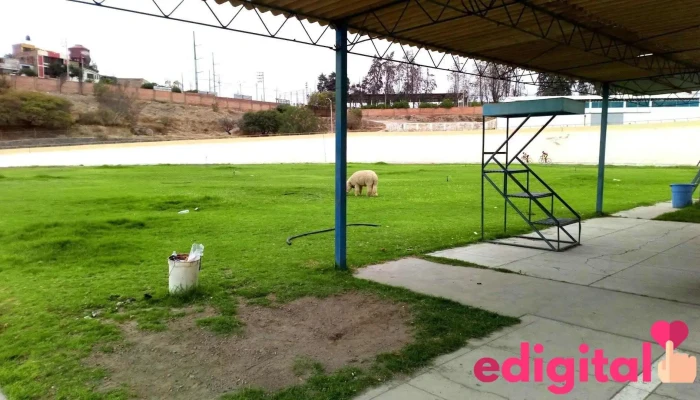 velódromo - Jacobo Hunter