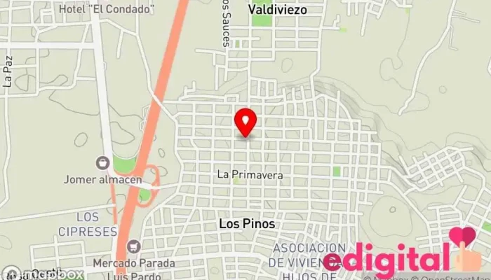 mapa de Vianca lesli gomero tarazona Farmacia en Huacho