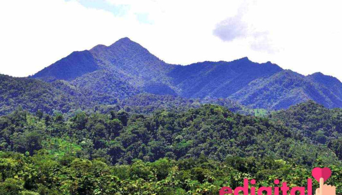 Warmi Viajes Perú - Tarapoto 22200
