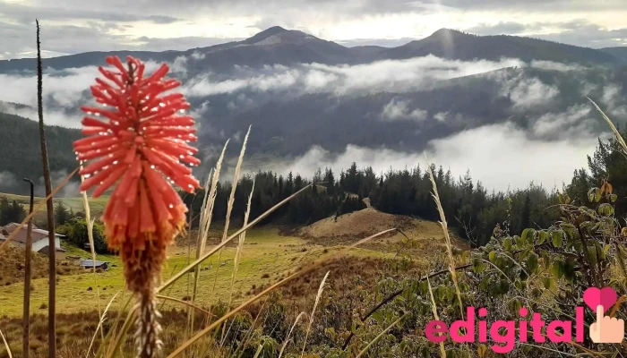 Yanac Travel Tour Operador - Cajamarca 06003