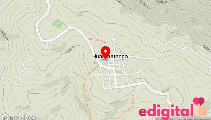 Yerbateros - Huamantanga 15355