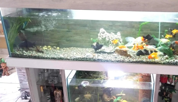 Zoofarma Peru -  Descuentos - Lima